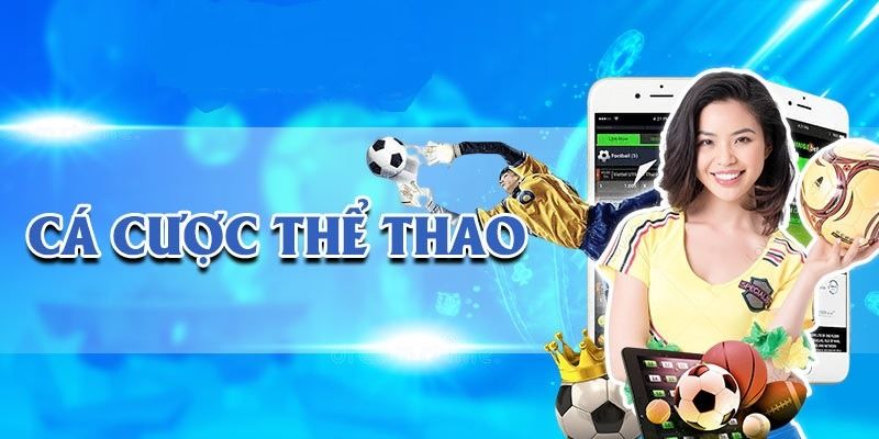 Kinh nghiệm vàng khi cá độ thể thao 